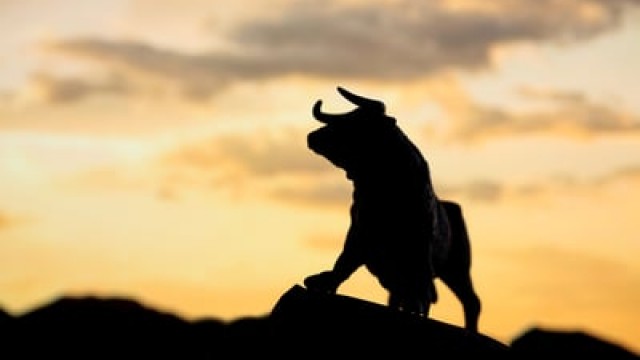 Bull Market Buys: 2 Growth Stocks to Own for the Long Run