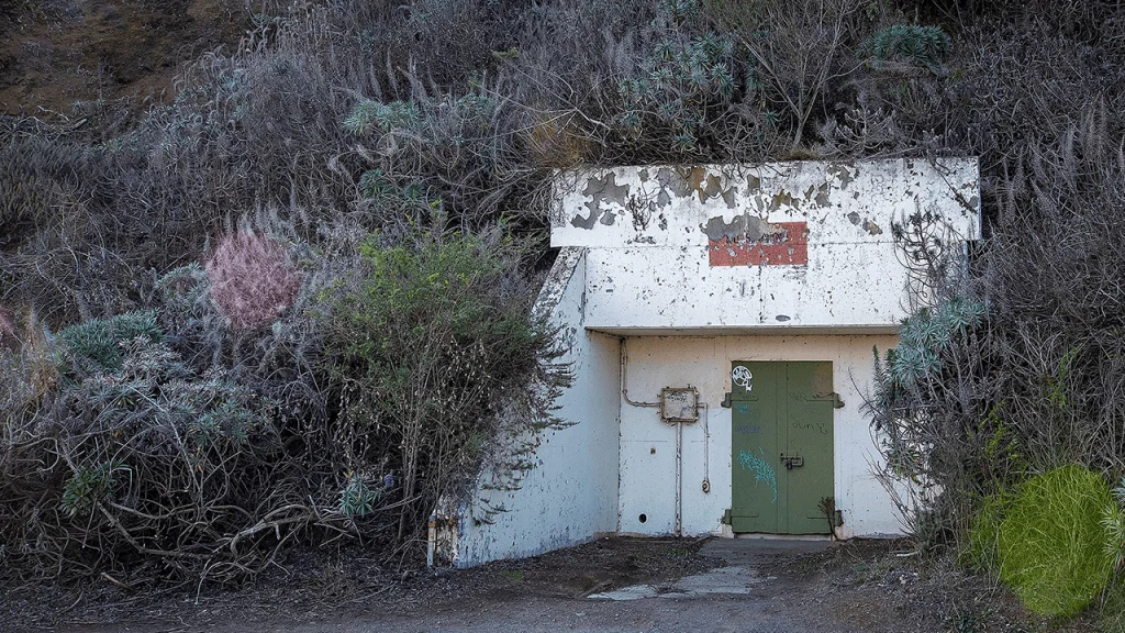 ‘Bunker Mode'? Crypto Experts Argue Over AI Threat to Bitcoin, Ethereum