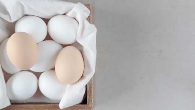 Cal-Maine Sales Sink Amid Historically Low Egg Prices