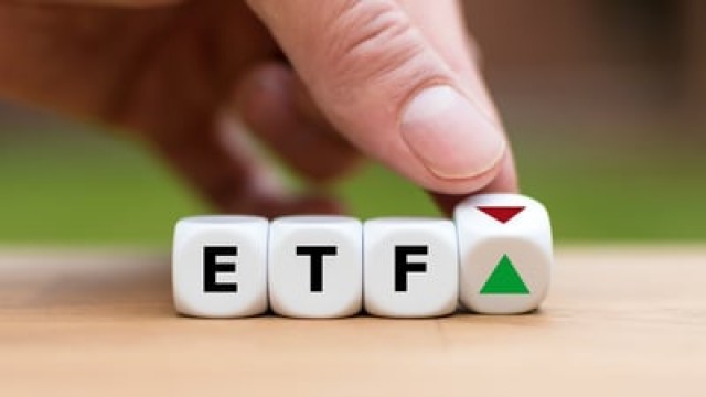 Can Vanguard ESG U.S. Stock ETF Be Your Only Stock Holding?