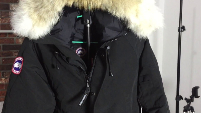 Canada Goose Stock Flies After Earnings