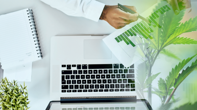 Cannabis Investing In Todays Market 3 Marijuana Stocks To Watch
