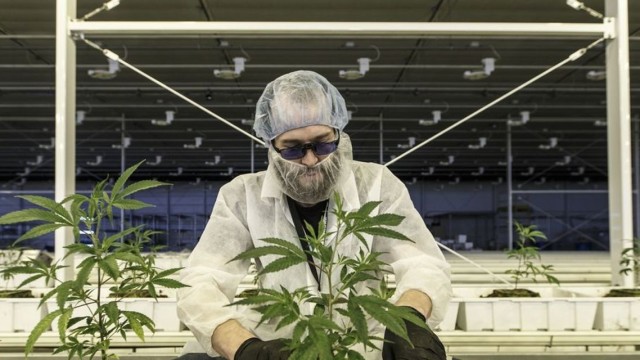 https://images.financialmodelingprep.com/news/cannabis-watch-pfizers-arena-pharma-deal-may-lead-drug-company-20211223.jpg