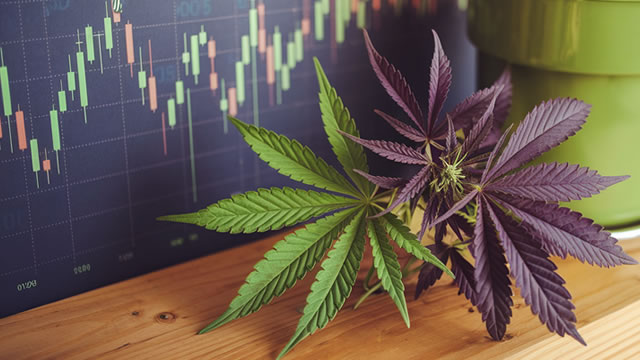 Canopy Growth Corporation (CGC) Advances While Market Declines: Some Information for Investors