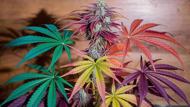 Canopy Growth Corporation (CGC) Outpaces Stock Market Gains: What You Should Know