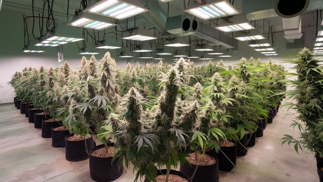 Canopy Growth: Penny Stock Purgatory -- or Cannabis Rebound in the Making?