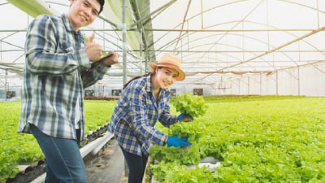 Canopy Growth Takes a Big Step in Advancing Its Strategy for the U.S. Marijuana Market