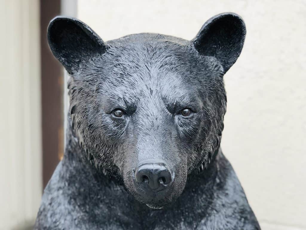 Cardano (ADA) Ecosystem Focuses on Enabling Institutional Infrastructure Amid Challenging Crypto Bear Market Conditions