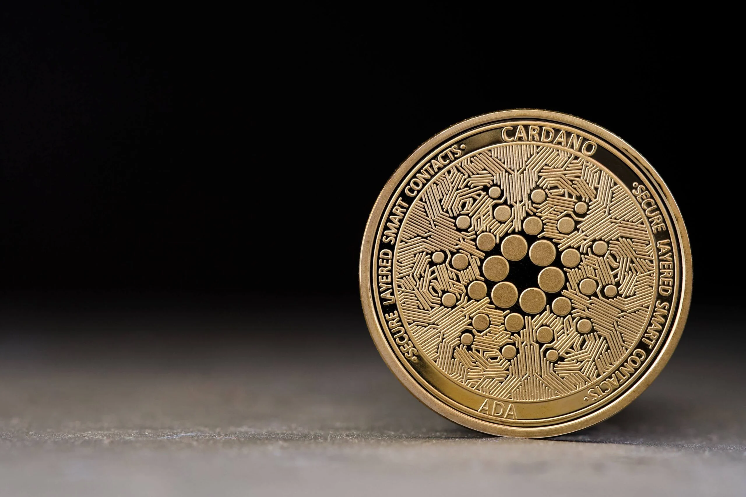 Cardano (ADA) Price: Traders Watch $0.23 Resistance After Leios Update