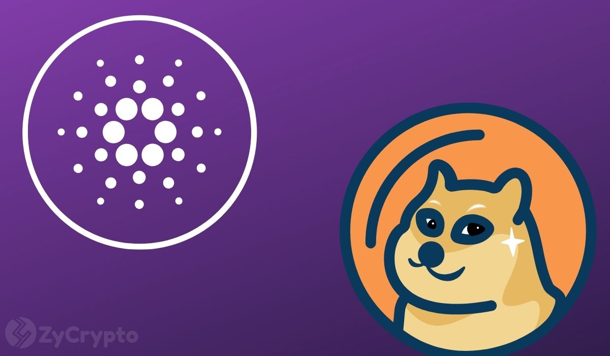 Cardano and Dogecoin Inflow