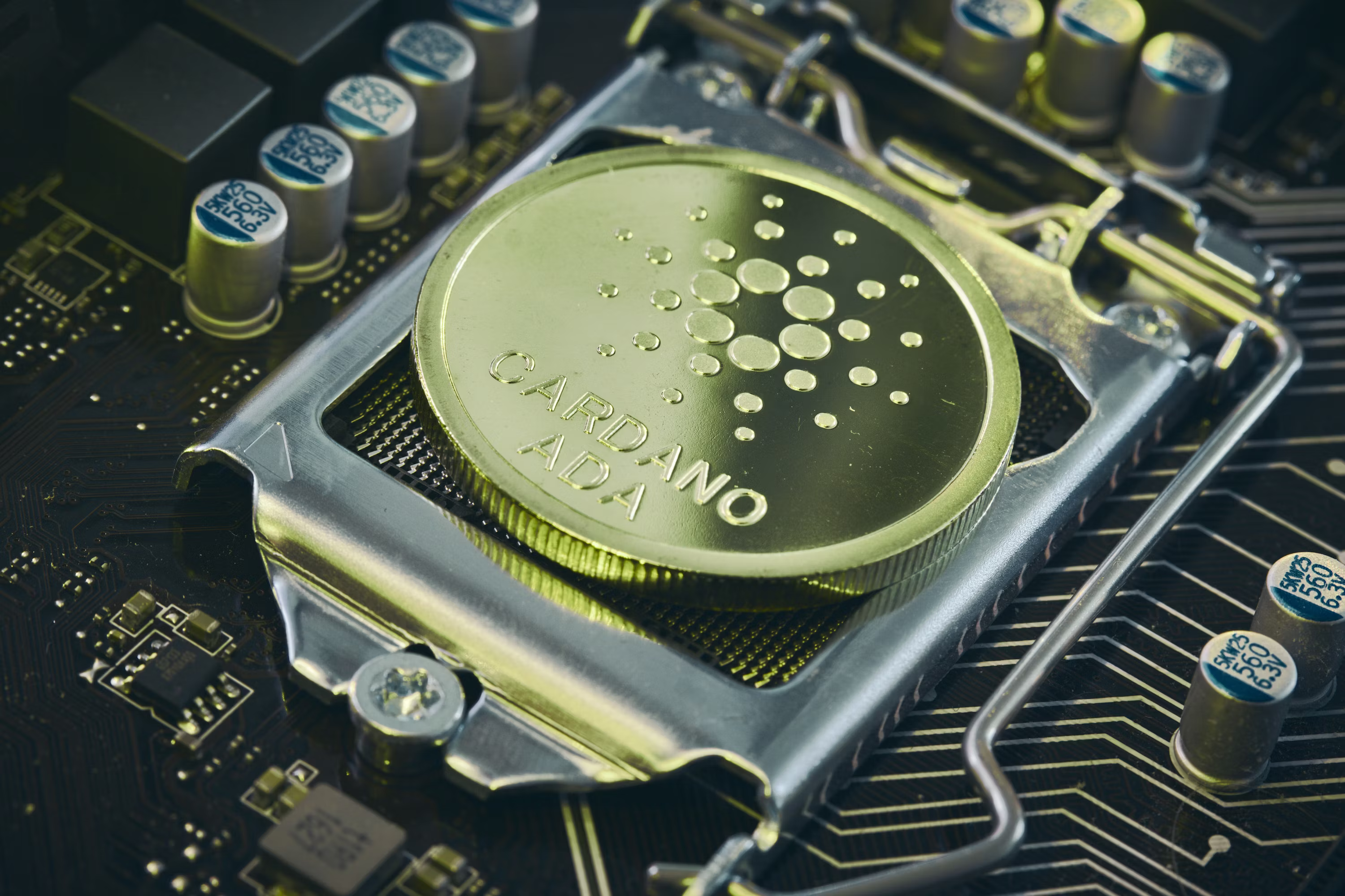 Cardano Crashes To 5-Year Lows As Hoskinson's Warning Sparks Market Panic