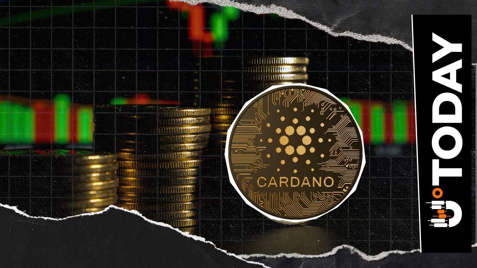 Cardano Foundation Resets Community Funding Model, Analyzing Influence on ADA