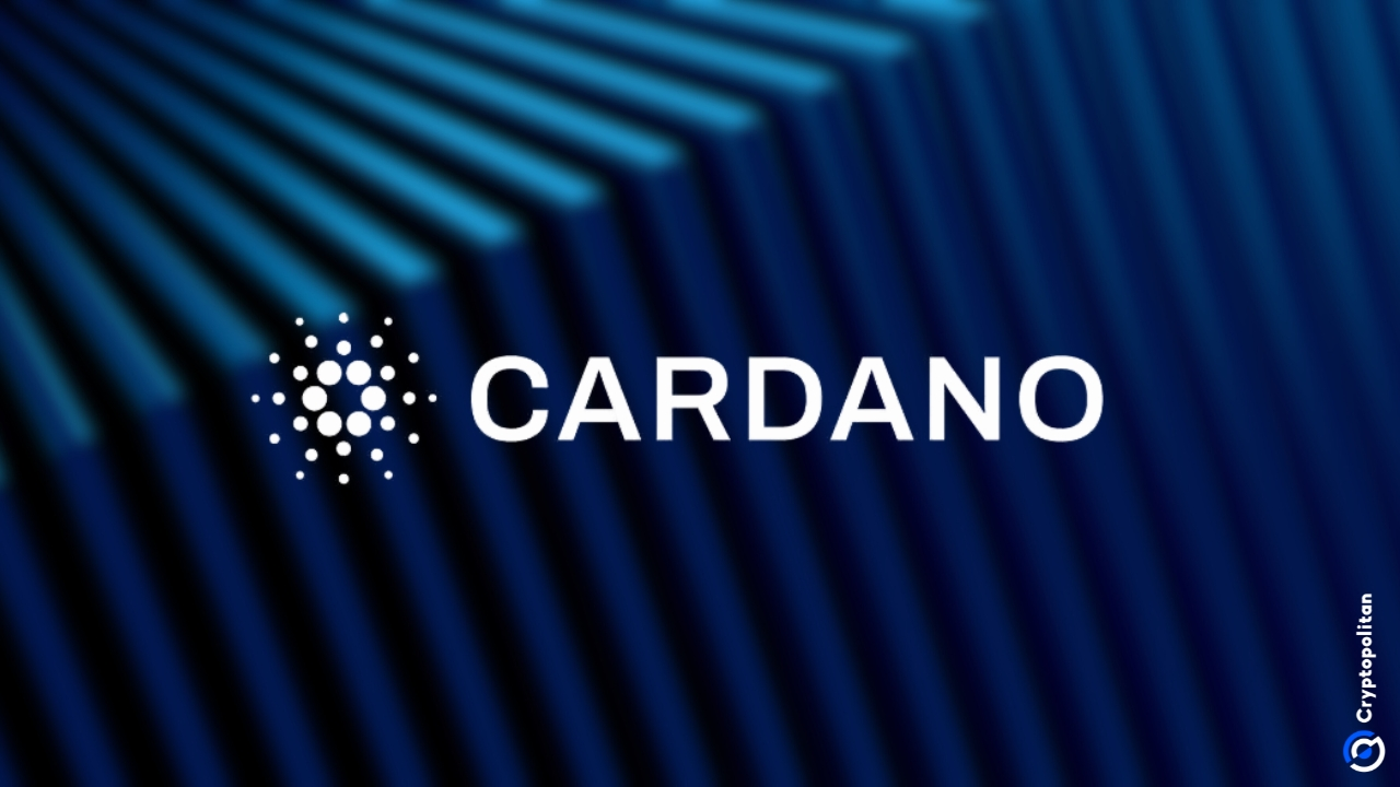 Cardano Foundation urges EU to fix MiCA, not expand it to DeFi