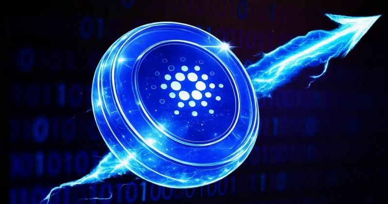 Cardano key stakeholder holdings hit 3.5-year high as whales accumulate