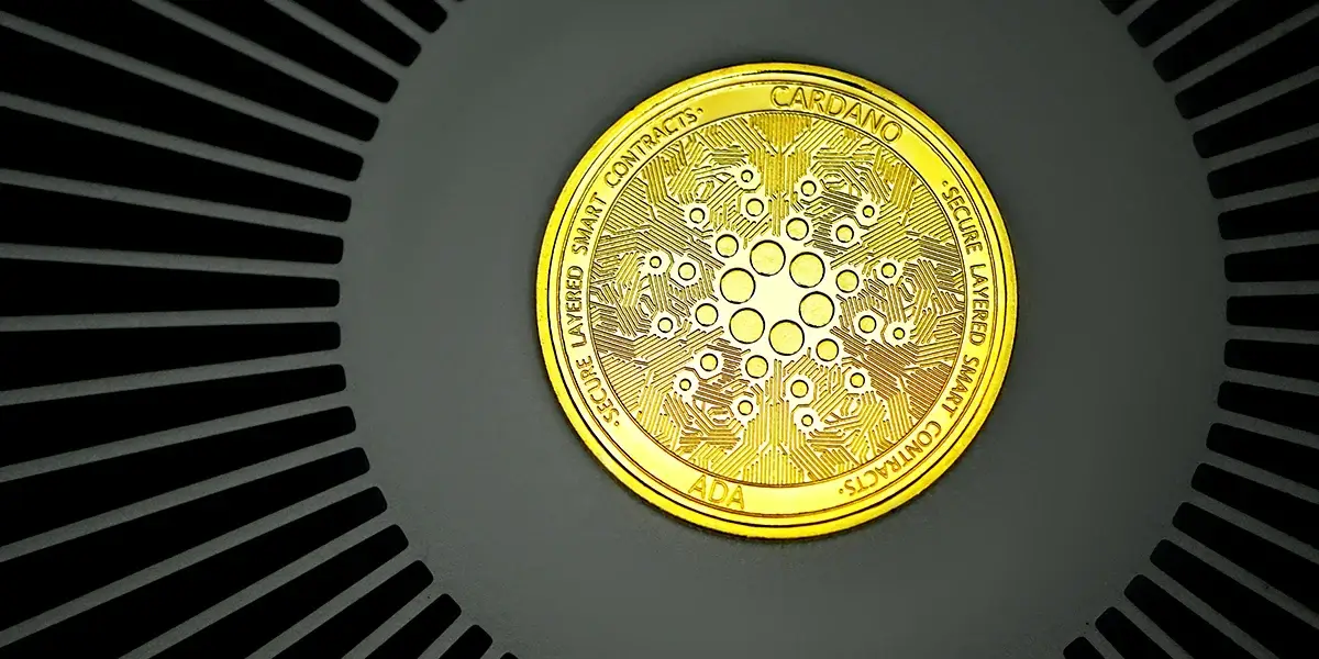 Cardano: Large Holders Reach Record High, but Price Still Waits