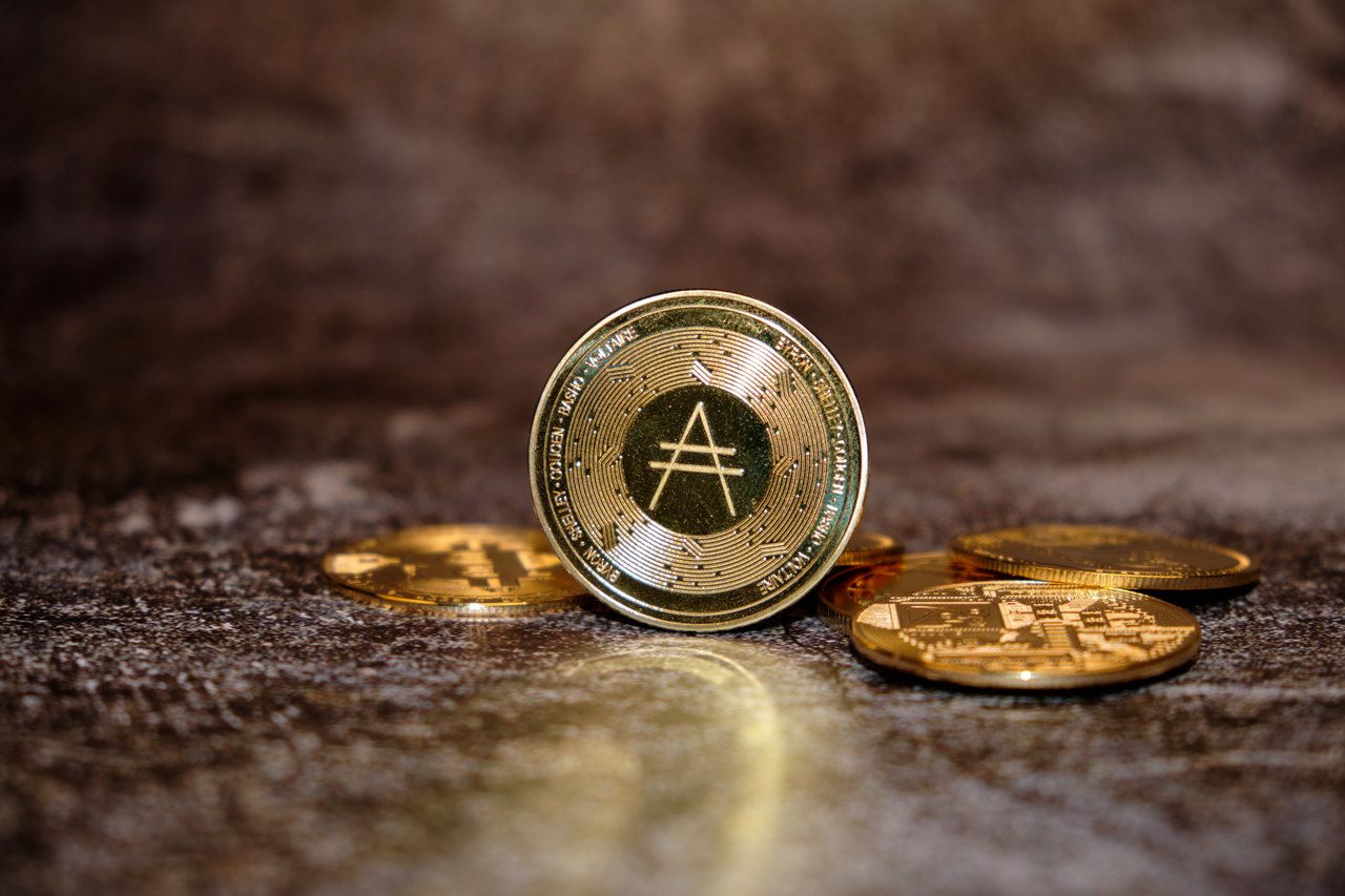 Cardano Price Crash
