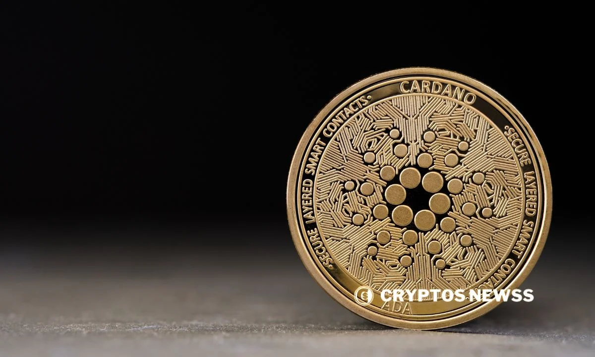 Cardano whale activity raises questions about ADA's next move