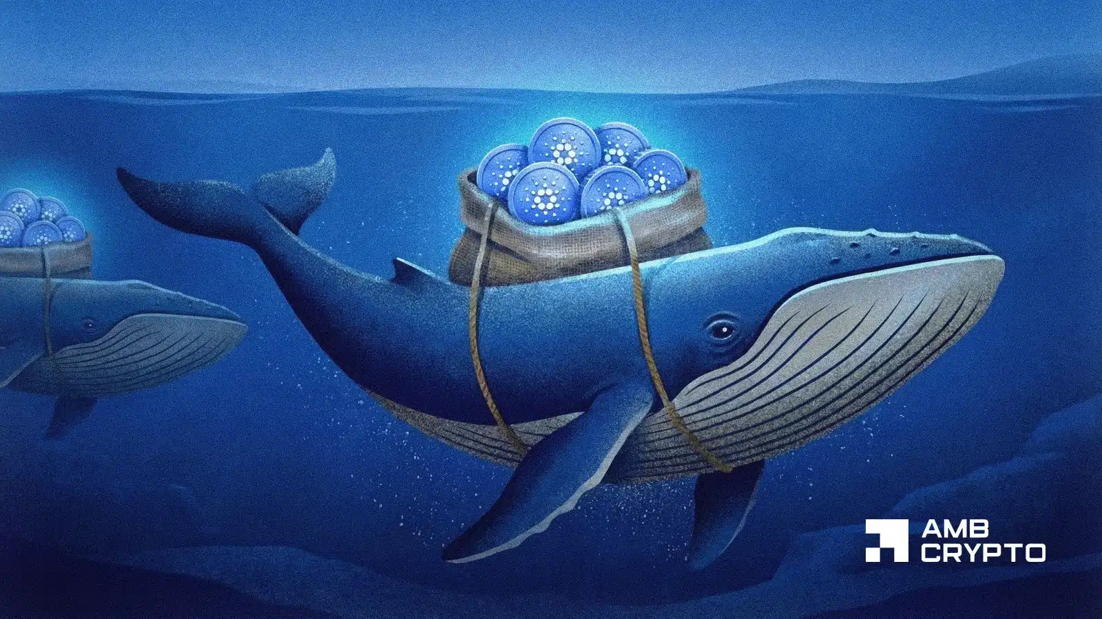 Cardano's whale growth is positive, but will it be enough for demand to catch up?