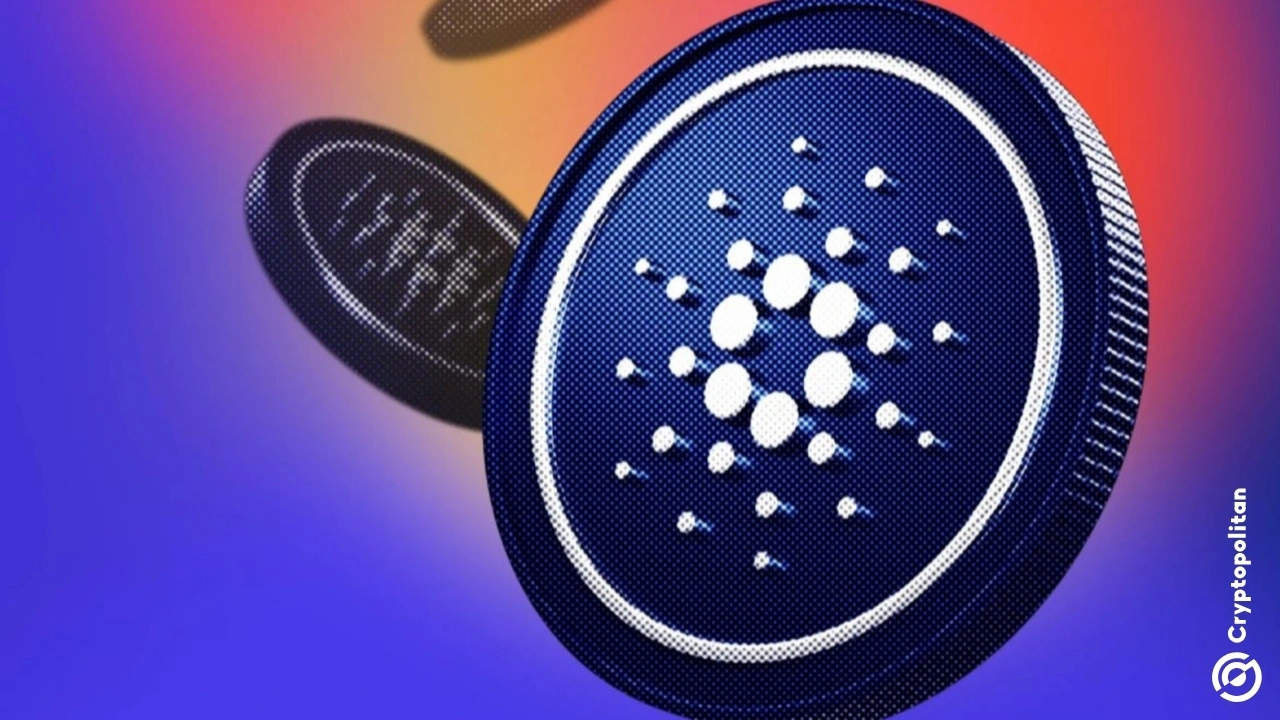 Cardano's worst wallet crisis yet? Users lose 16M ADA