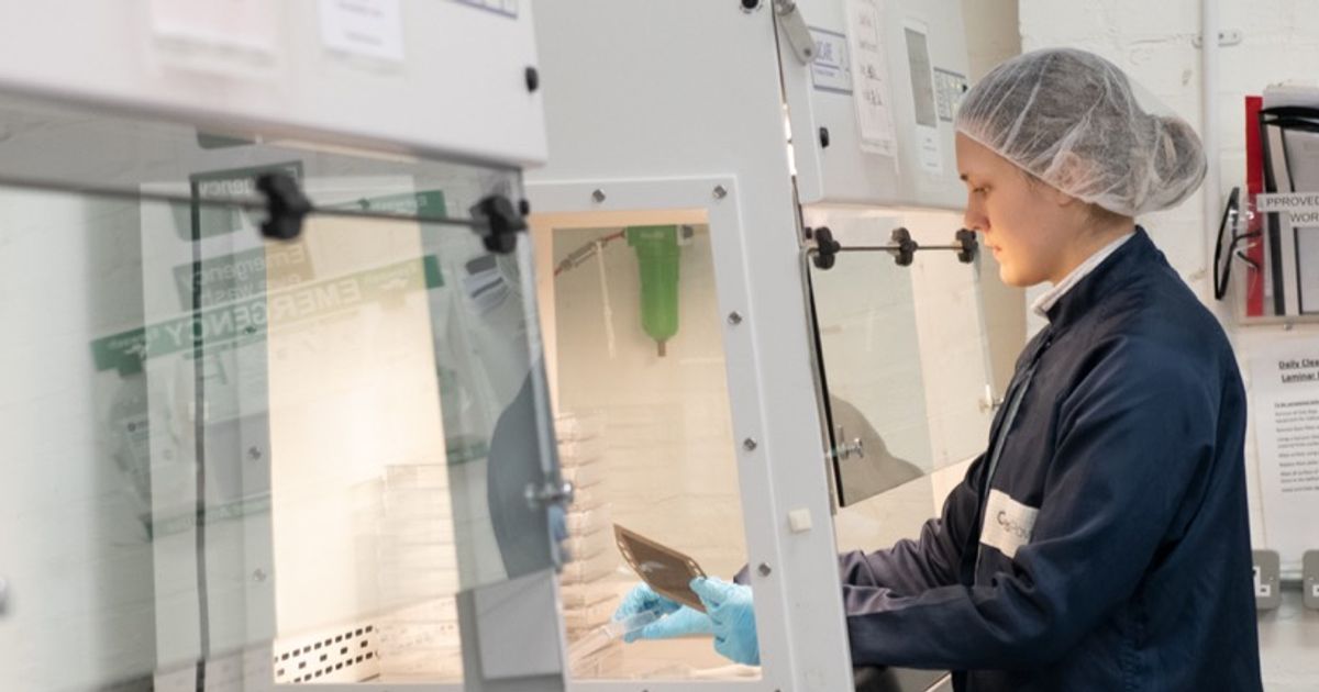 Ceres Power shares up 4% as Bosch overhang is removed