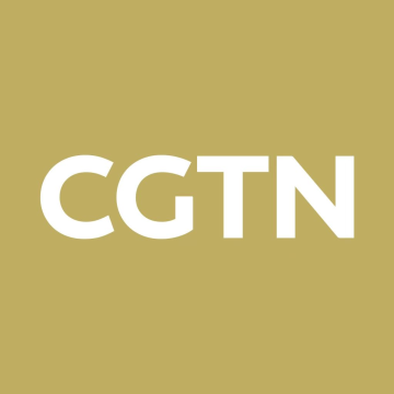 CGTN:From desert to opportunity: China-Egypt ties deepen across sectors