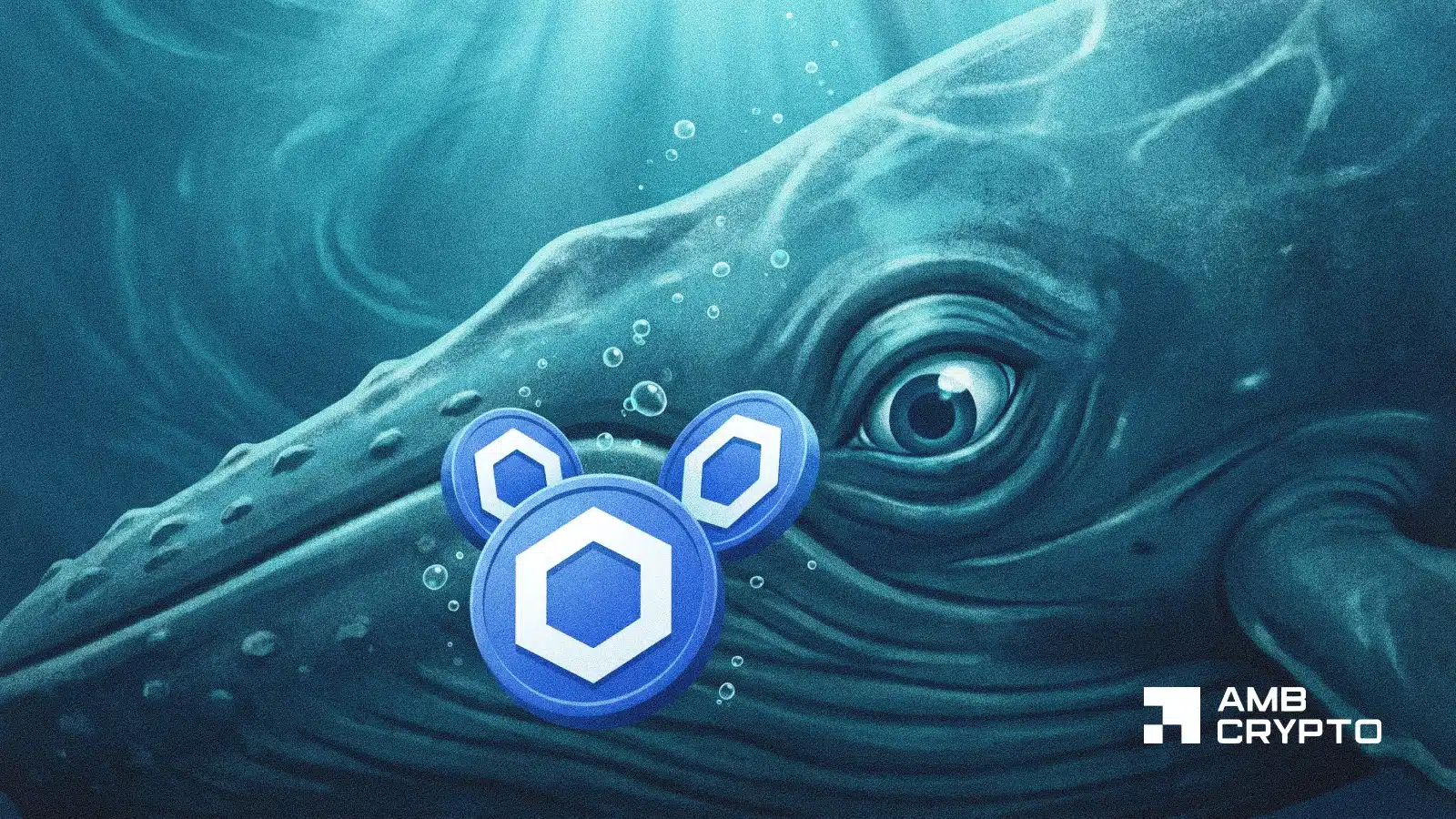 Chainlink whale wallets hit record highs! Will LINK's rally continue?