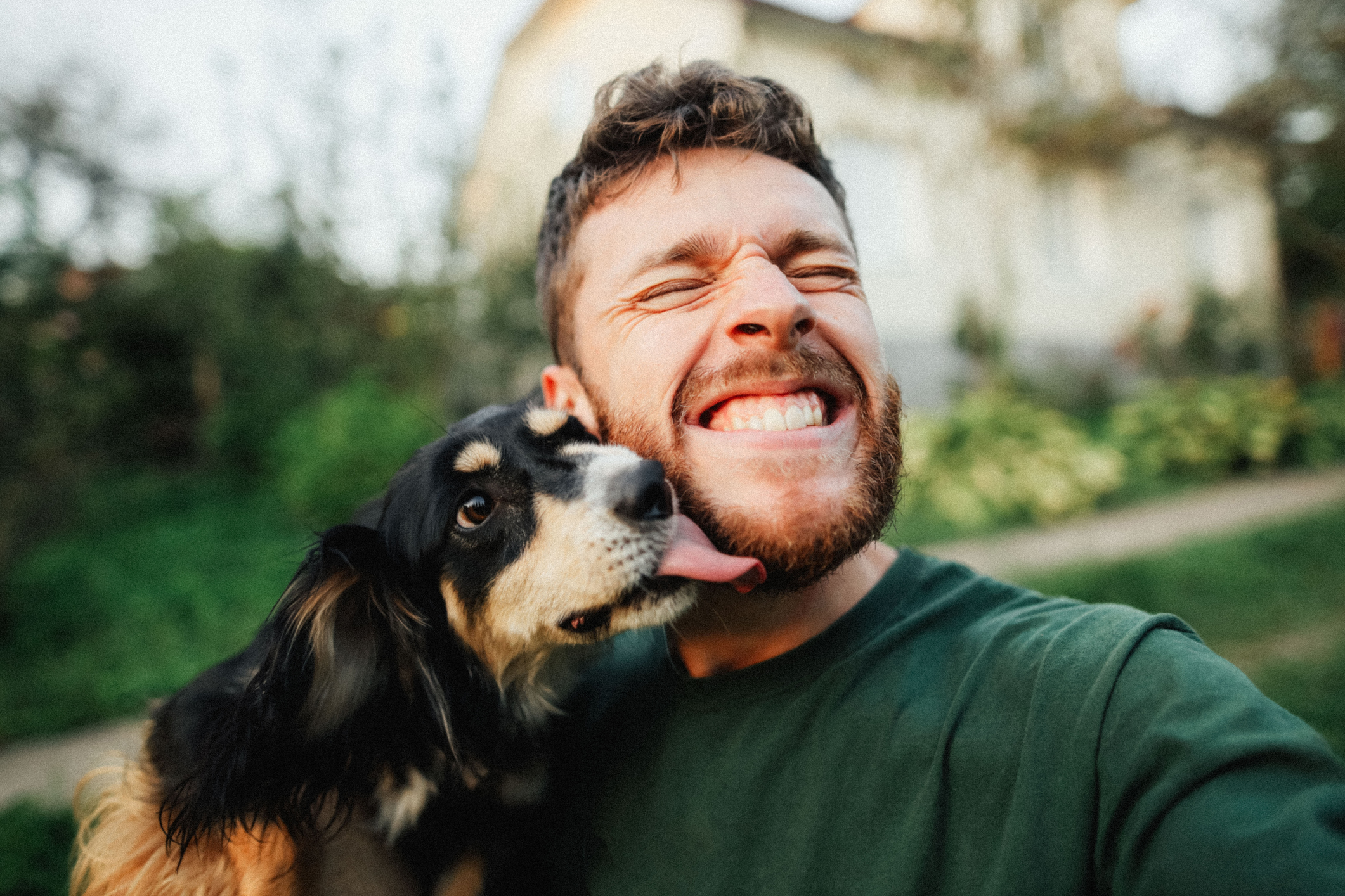 Chewy Stock Keeps Beating the Stock Market. Time to Buy?