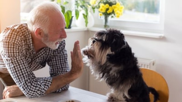 Chewy Stock Surges as Sales Impress. Is It Too Late to Buy the Stock?