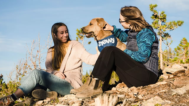 Chewy Stock Tumbles as Net Income Falls Short of Estimates