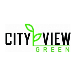 City View Announces Proposed Name Change to Stable Capital Holdings Inc.
