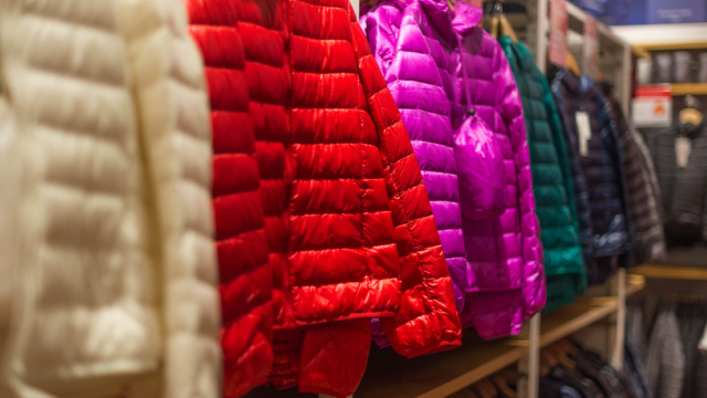 Foto von Coach Parent Tapestry Lifts Full-Year Outlook, Says Tariffs 'Immaterial'