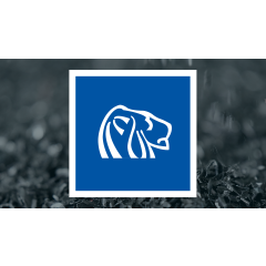 Comparing Northern Dynasty Minerals (NAK) & Its Rivals