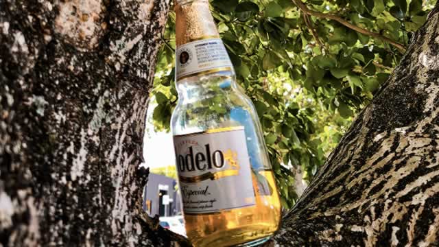 Constellation Brands Dips 9% in a Month: Time to Buy or Red Flag?