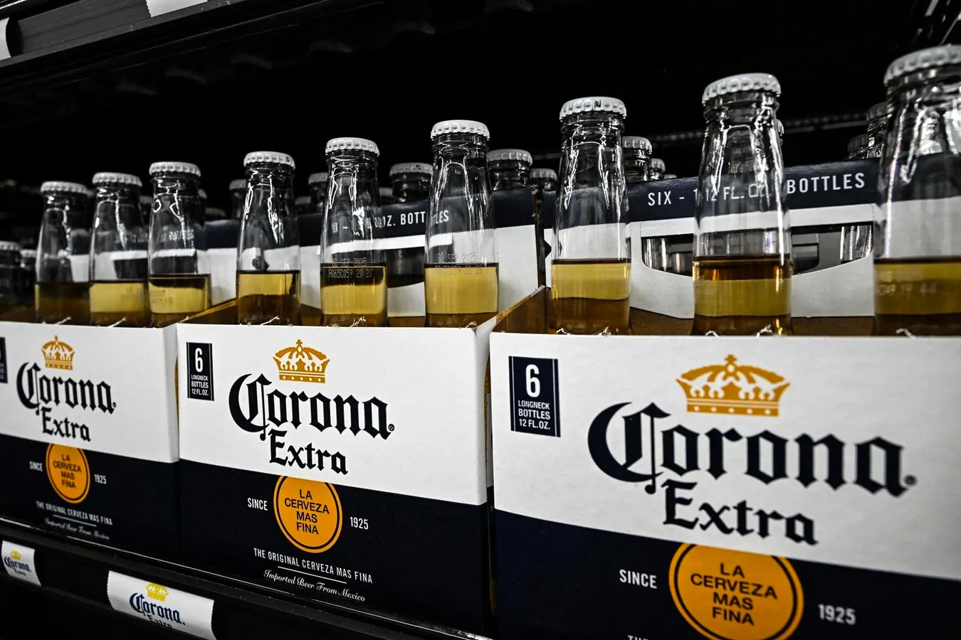 Constellation Brands: How Low Can STZ Stock Go?