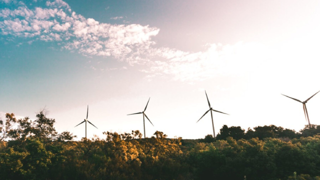 Foto von Constellation Energy: Demand Still Intact, Supply Advantaged