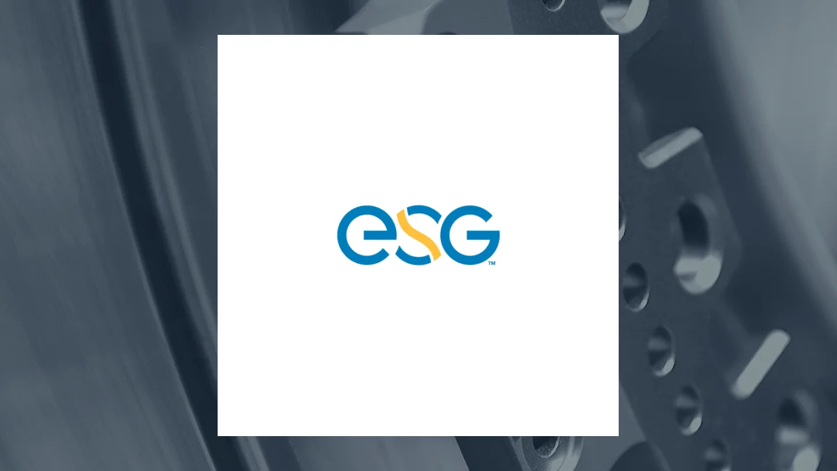 Contrasting New Energy Systems Group. (OTCMKTS:NEWN) & Welsbach Technology Metals Acquisition (NASDAQ:EMAT)