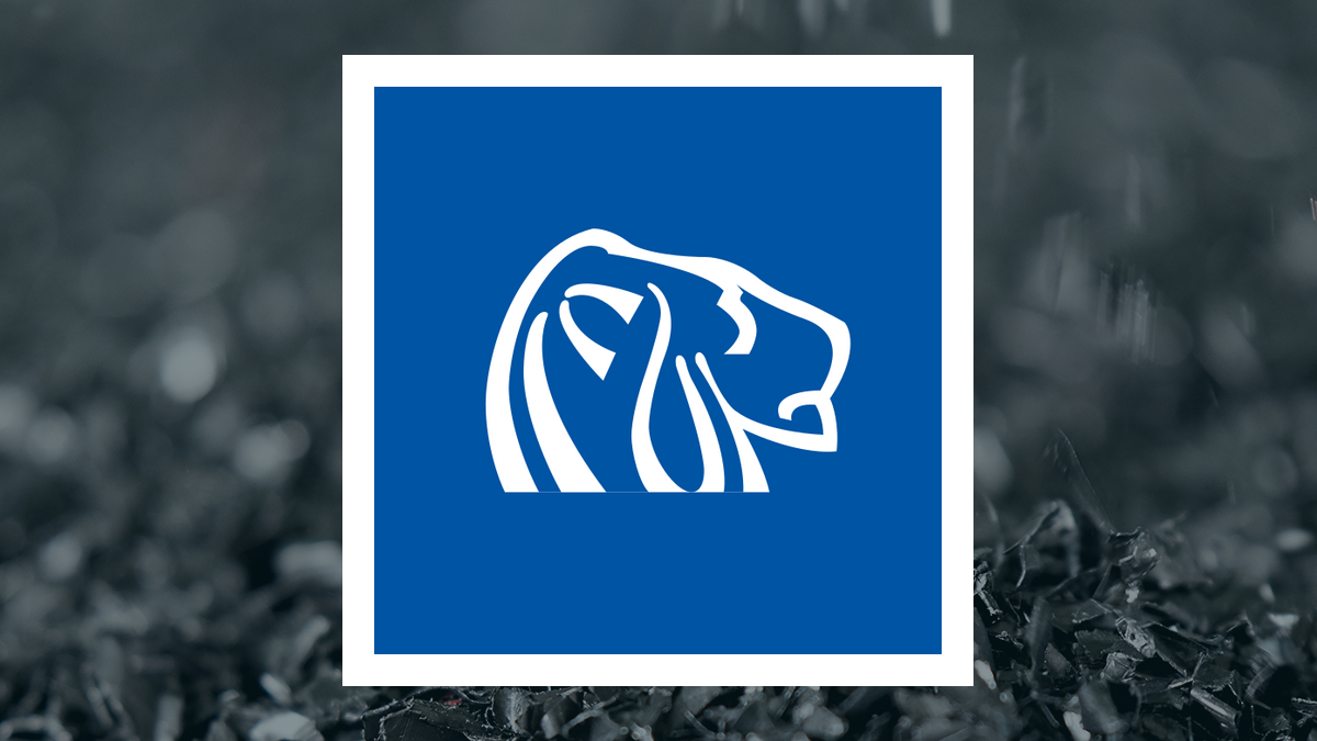 Artikelbillede for Kritisk analyse: Northern Dynasty Minerals (NASDAQ:NAK) vs. Vista Gold (NYSE:VGZ)