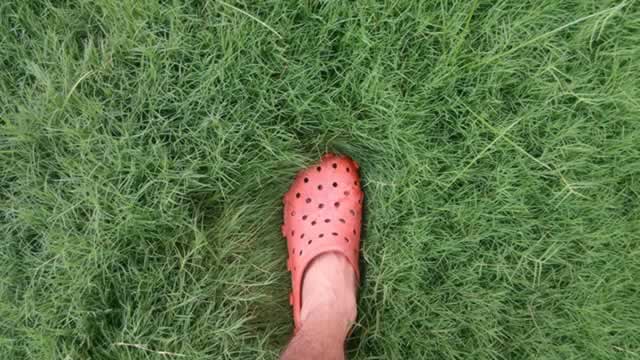 Crocs (CROX) Registers a Bigger Fall Than the Market: Important Facts to Note
