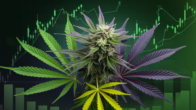 Cronos: Strong Q1 Earnings Driven By International Cannabis Sales