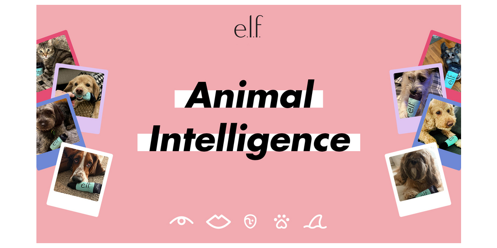 Cruelty-free e.l.f. Cosmetics Introduces AI Campaign Like No Other: Animal Intelligence