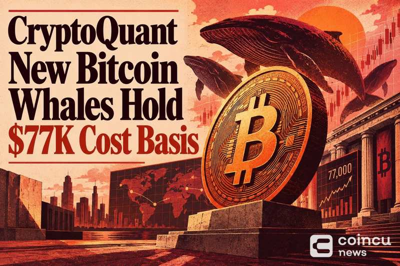 CryptoQuant: New Bitcoin Whales Hold $77K Cost Basis