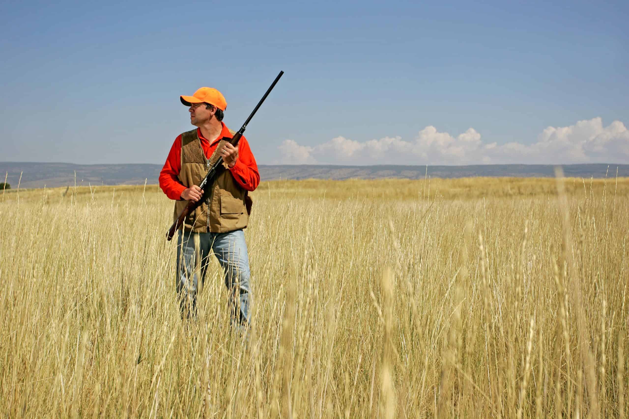 Dave Ramsey to Man With $83K on 16 Credit Cards Terrified to Sell His Hunting Land: ‘You Just Stacked Up a Bunch of Stuff’