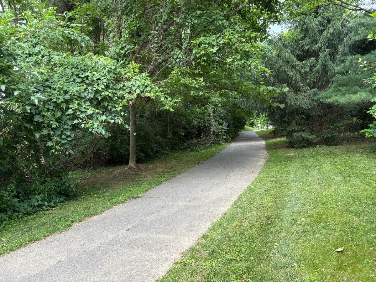 Decision Looms On Controversial George Snyder Trail: What To Know