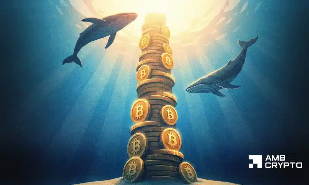 Decoding Bitcoin's capital rotation – $5B retail exits as whales take control