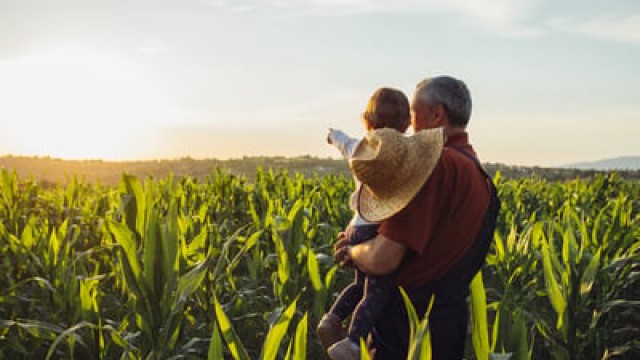 Deere & Company Reports Falling Sales, Earnings in Fiscal Q2