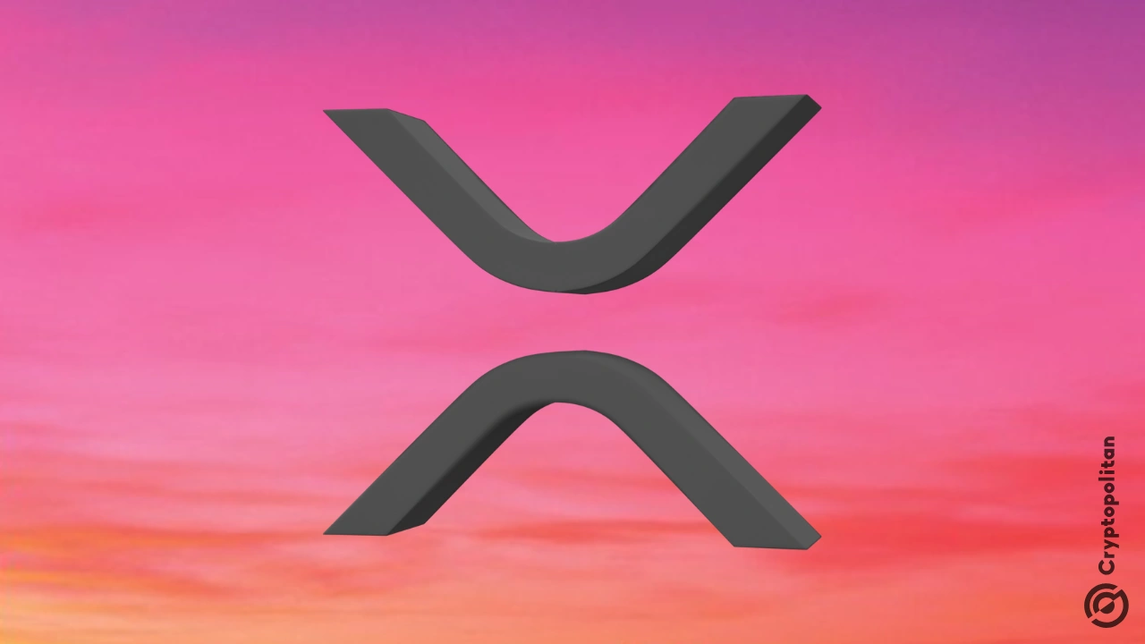 DeFi on Ripple gains pace as XRP holders tout new yield opportunities