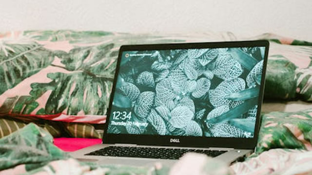 DELL