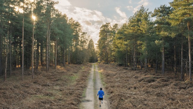 Dividend Growth At A Bargain Price? O Yeah! Realty Income