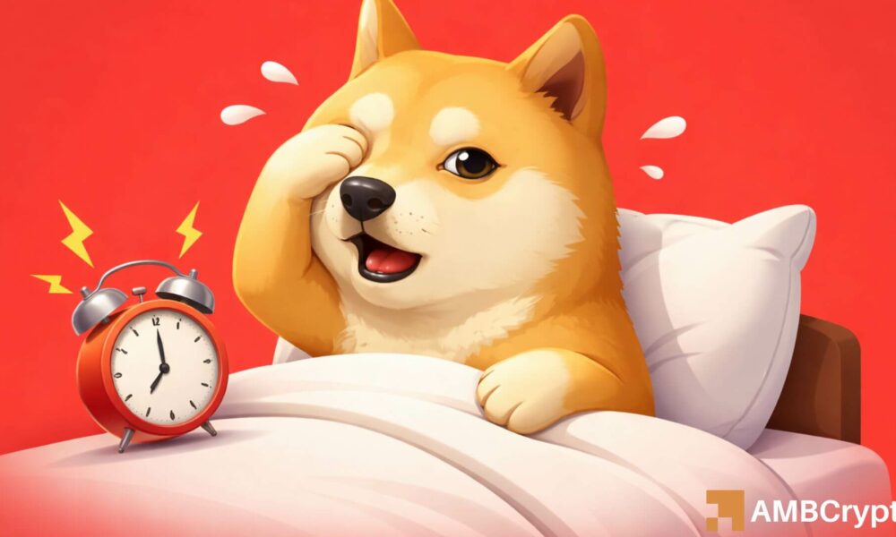 DOGE steadies after 35% January surge, but THIS level decides what's next!