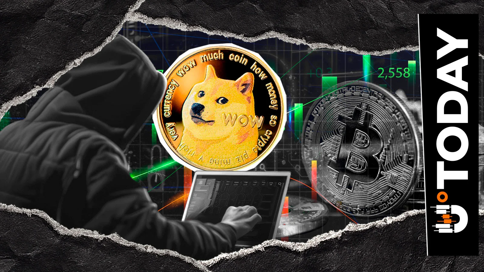 Dogecoin Contributor Outlines Steps for Real DOGE Ecosystem Growth